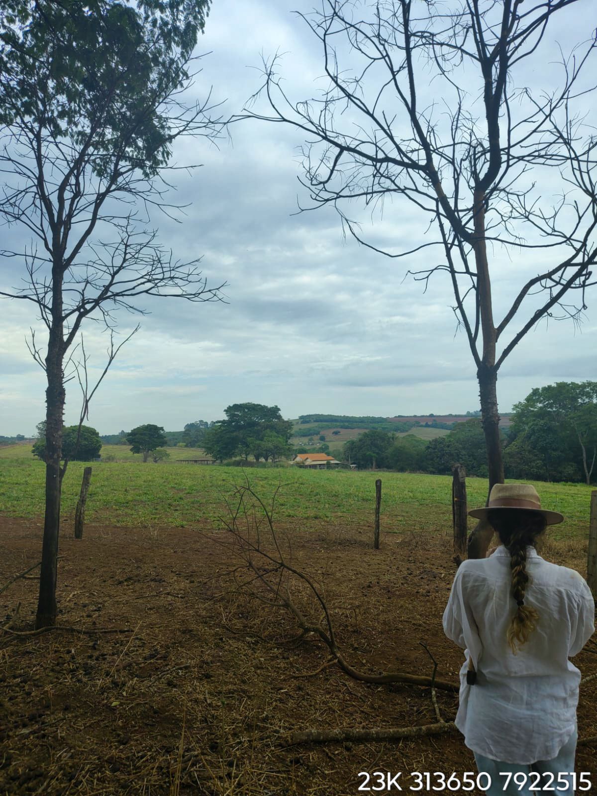Serviço Ambiental 6